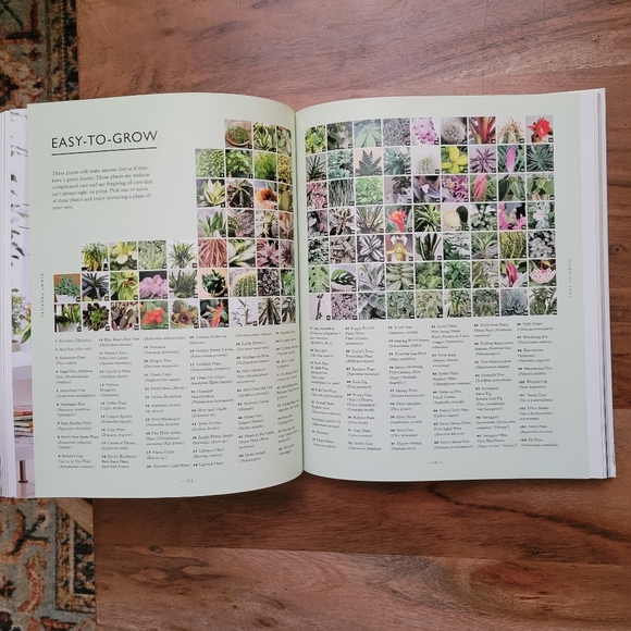 Houseplant book - Picture 2 of 4